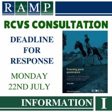 RCVS consultation